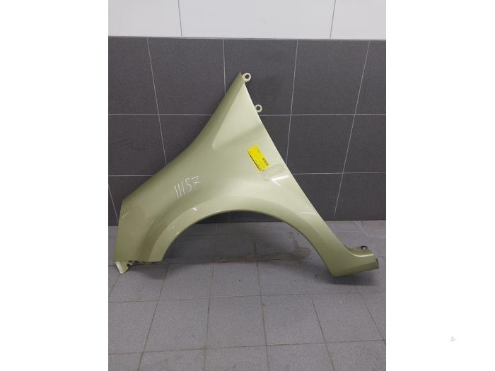 RENAULT Modus 1 generation (2004-2012) Front Left Fender 7701475515 22222136