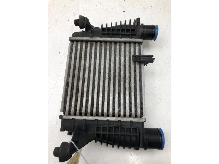 Gebruikte Intercooler Nissan Juke (F15) 1.5 dCi Prijs € 93,45 Margeregeling aangeboden door Wessel Parts & Service B.V.