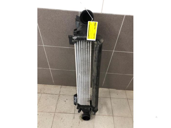 Intercooler van een Mercedes-Benz E (W211) 2.2 E-200 CDI 16V 2007
