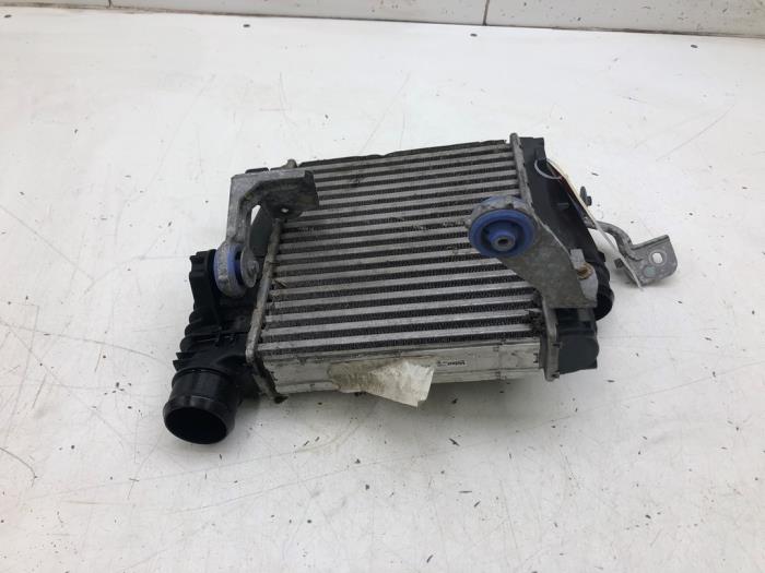 Gebruikte Intercooler Opel Grandland (X) 1.5 CDTI 130 Prijs € 61,95 Margeregeling aangeboden door Wessel Parts & Service B.V.