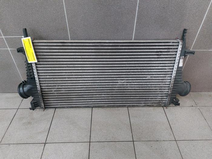 Gebruikte Intercooler Opel Insignia Sports Tourer 2.8 V6 Turbo 24V 4x4 Ecotec Prijs € 51,45 Margeregeling aangeboden door Wessel Parts & Service B.V.
