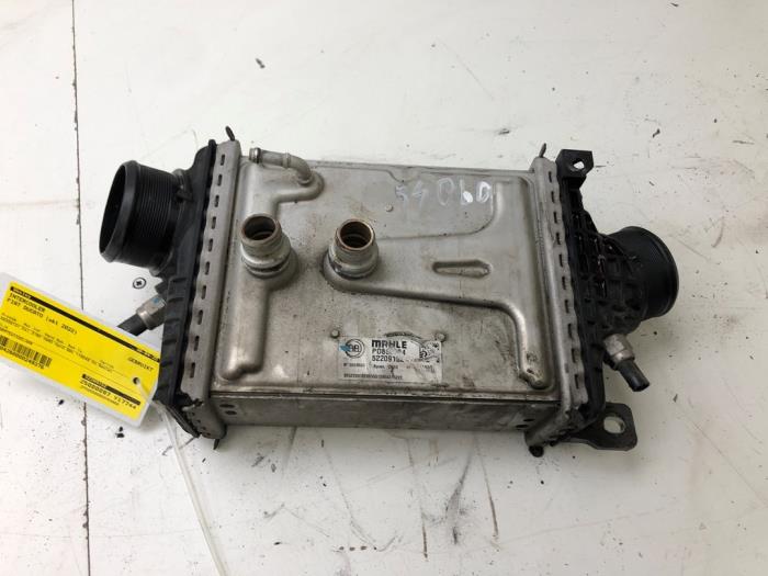 Gebruikte Intercooler Fiat Ducato (250) 2.2 D 140 Multijet 3 Prijs € 208,95 Margeregeling aangeboden door Wessel Parts & Service B.V.