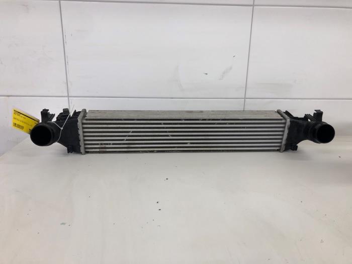 Gebruikte Intercooler Opel Astra Prijs € 82,95 Margeregeling aangeboden door Wessel Parts & Service B.V.