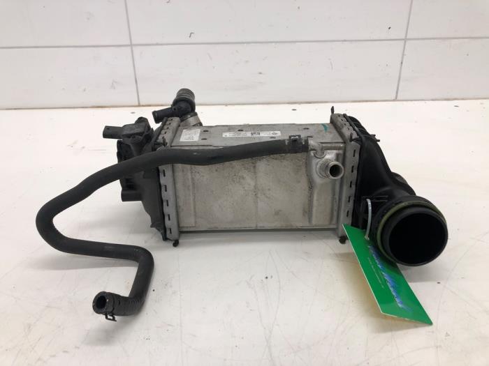 Gebruikte Intercooler Volkswagen Polo VI (AW1) 1.0 TSI 12V Prijs € 103,95 Margeregeling aangeboden door Wessel Parts & Service B.V.