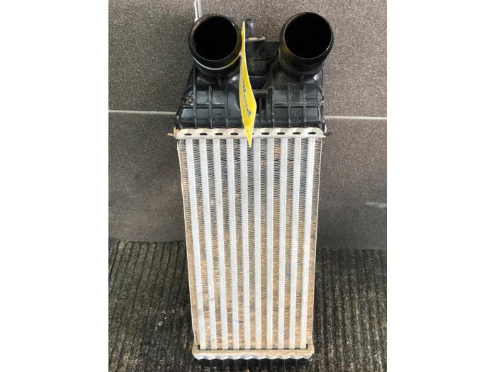 Gebruikte Intercooler Peugeot 2008 (CU) 1.5 BlueHDi 100 Prijs € 51,45 Margeregeling aangeboden door Wessel Parts & Service B.V.
