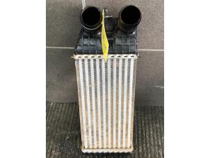 Gebruikte Intercooler Peugeot 2008 (CU) 1.5 BlueHDi 100 Prijs € 49,00 Margeregeling aangeboden door Wessel Parts & Service B.V.