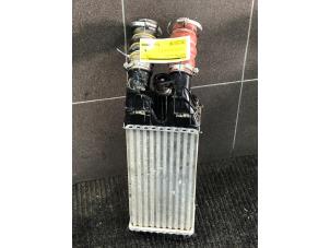 Gebruikte Intercooler Peugeot 2008 (CU) 1.5 BlueHDi 100 Prijs € 49,00 Margeregeling aangeboden door Wessel Parts & Service B.V.