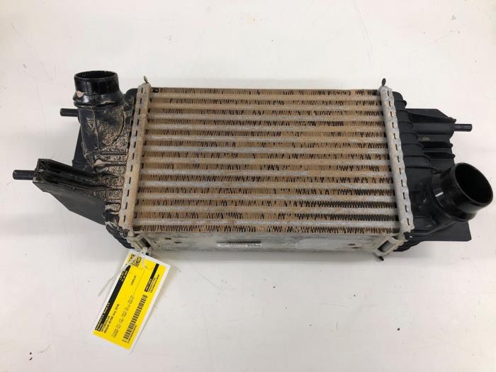 Gebruikte Intercooler Nissan NV 200 (M20M) 1.5 dCi 90 Prijs € 61,95 Margeregeling aangeboden door Wessel Parts & Service B.V.