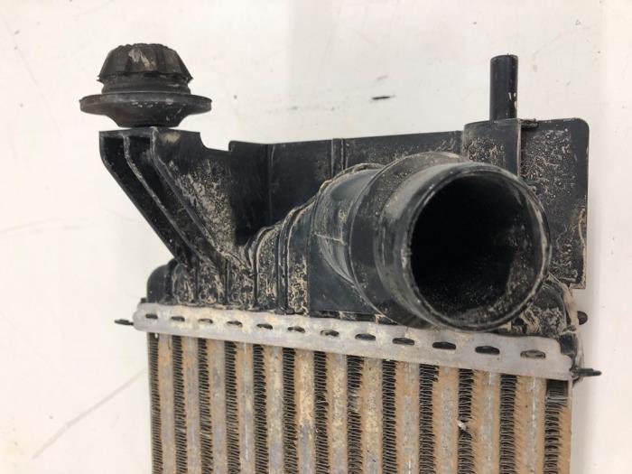 Gebruikte Intercooler Nissan NV 200 (M20M) 1.5 dCi 90 Prijs € 61,95 Margeregeling aangeboden door Wessel Parts & Service B.V.