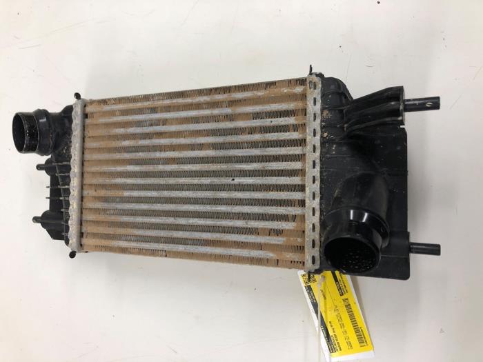 Gebruikte Intercooler Nissan NV 200 (M20M) 1.5 dCi 90 Prijs € 61,95 Margeregeling aangeboden door Wessel Parts & Service B.V.