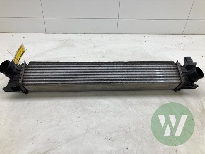 Gebruikte Intercooler Fiat Ducato (250) 2.3 D 160 Multijet AdBlue Prijs € 103,95 Margeregeling aangeboden door Wessel Parts & Service B.V.