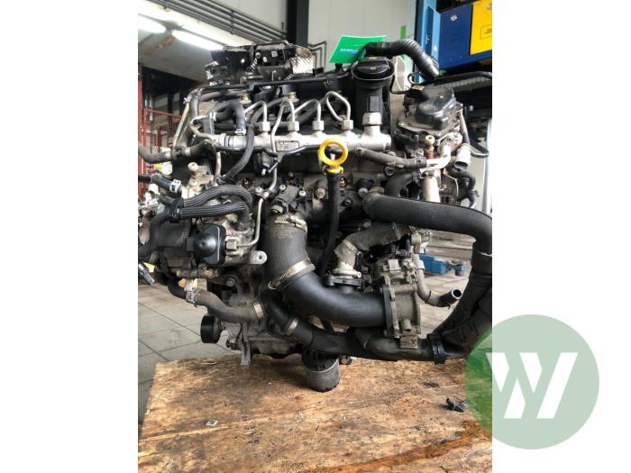 Gebruikte Motor Volkswagen Polo V (6R) 1.4 TDI 12V 90 Prijs op aanvraag aangeboden door Wessel Parts & Service B.V.