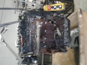 Gebruikte Motor Ford Kuga I 2.0 TDCi 16V 163 4x4 Prijs € 1.890,00 Margeregeling aangeboden door Wessel Parts & Service B.V.