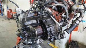 Gebruikte Versnellingsbak Ford Focus Prijs € 450,00 Margeregeling aangeboden door De Witte Boerderij AutoMotive