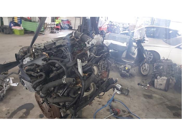 Gebruikte Motor Ford Fiesta Prijs € 500,00 Margeregeling aangeboden door De Witte Boerderij AutoMotive