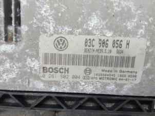 Gebruikte Computer Motormanagement Volkswagen Golf V (1K1) 1.4 FSI 16V Prijs € 100,00 Margeregeling aangeboden door De Witte Boerderij AutoMotive