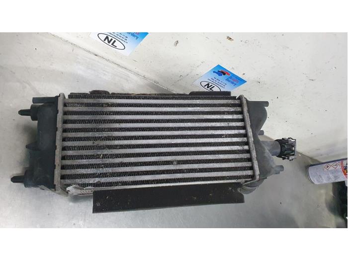 Gebruikte Intercooler Ford Transit Courier 1.6 TDCi Prijs € 75,00 Margeregeling aangeboden door De Witte Boerderij AutoMotive
