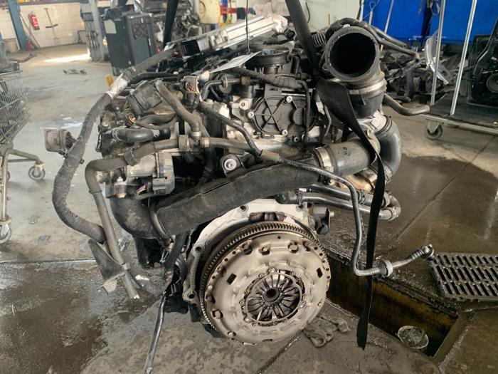 Gebruikte Motor Volkswagen Golf VII (AUA) 2.0 TDI 16V Prijs € 1.250,00 Margeregeling aangeboden door De Witte Boerderij AutoMotive