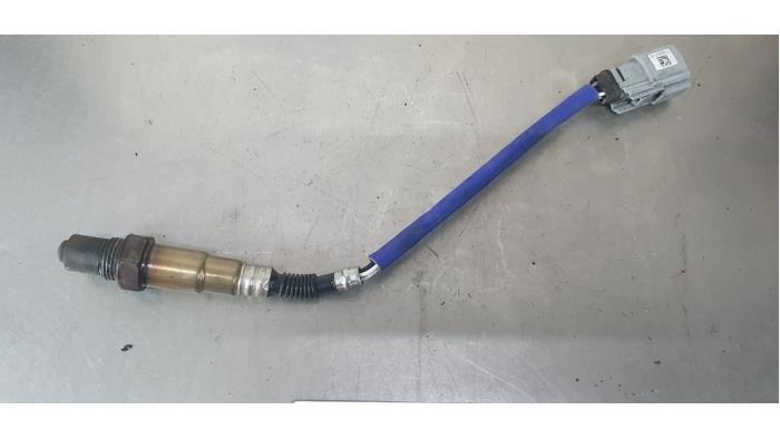 Gebruikte Lambda Sonde Ford Fiesta 6 (JA8) 1.0 SCI 12V 80 Prijs € 20,00 Margeregeling aangeboden door De Witte Boerderij AutoMotive