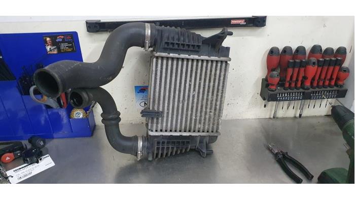 Gebruikte Intercooler Renault Clio III (BR/CR) 1.2 16V TCe 100 Prijs € 25,00 Margeregeling aangeboden door De Witte Boerderij AutoMotive
