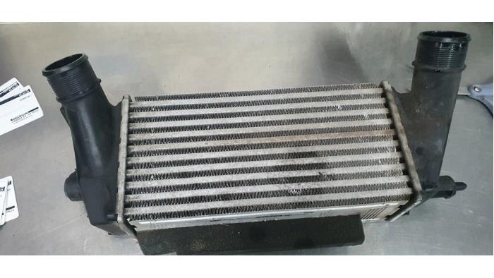 Gebruikte Intercooler Ford EcoSport (JK8) 1.0 EcoBoost 12V 125 Prijs € 35,00 Margeregeling aangeboden door De Witte Boerderij AutoMotive