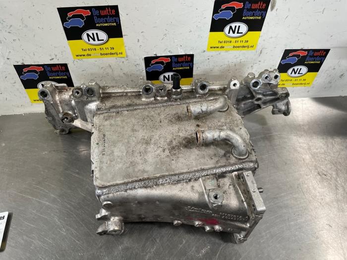 Gebruikte Spruitstuk Inlaat Volkswagen Golf VII (AUA) 1.6 TDI 16V Prijs € 85,00 Margeregeling aangeboden door De Witte Boerderij AutoMotive