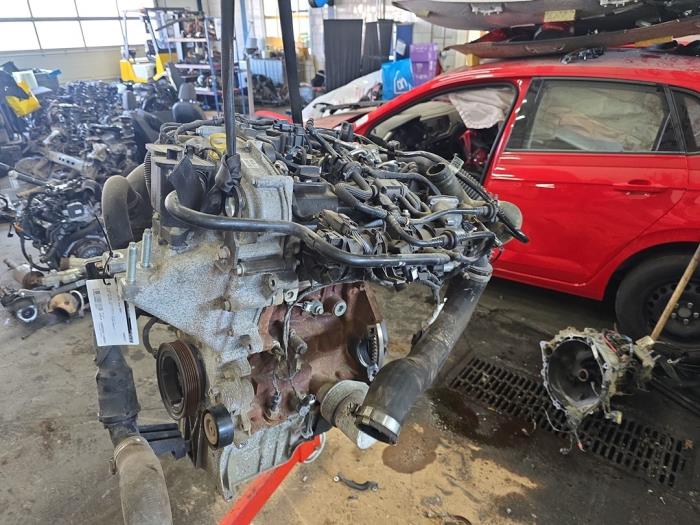 Gebruikte Motor Ford Fiesta 7 1.0 EcoBoost 12V Prijs € 1.750,00 Margeregeling aangeboden door De Witte Boerderij AutoMotive