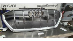 Gebruikte Grille Audi E-Tron Prijs € 325,00 Margeregeling aangeboden door De Witte Boerderij AutoMotive