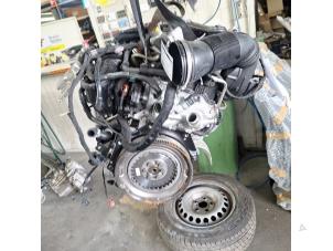 Gebruikte Motor Volkswagen Polo VI (AW1) 1.0 TSI 12V Prijs € 3.150,00 Margeregeling aangeboden door De Witte Boerderij AutoMotive