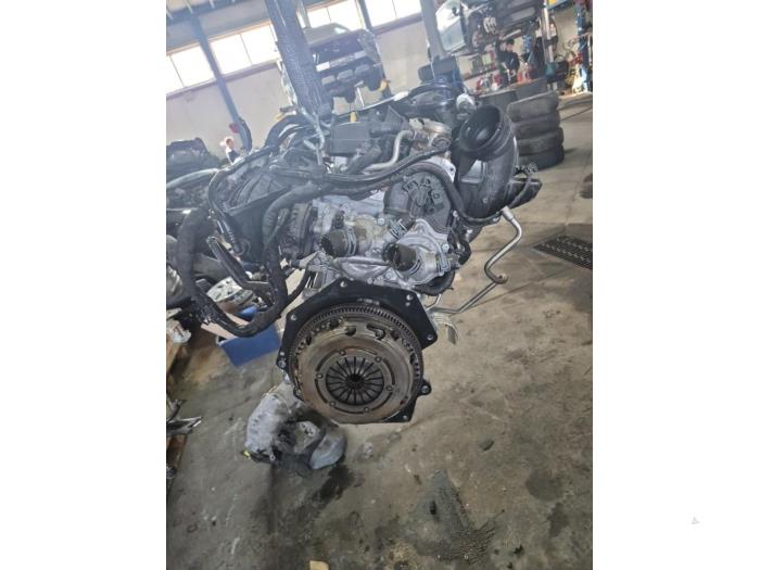 Gebruikte Motor Skoda Fabia IV (PJ3) 1.0 TSI 12V Prijs € 950,00 Margeregeling aangeboden door De Witte Boerderij AutoMotive