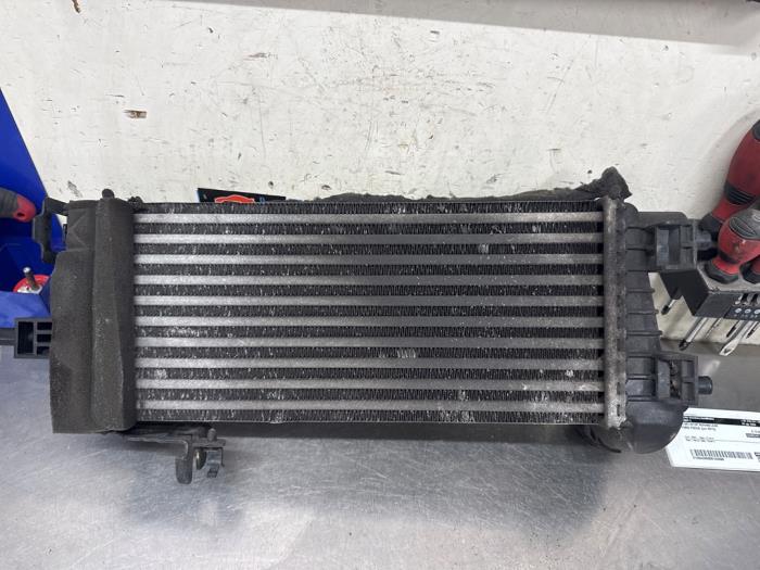 Intercooler Ford Focus 3 Wagon, 2010 / 2020 1.0 Ti-VCT EcoBoost 12V 125, Combi/o, Benzine, 998cc, 92kW (125pk), FWD, M1DA, 2012-02 / 2018-05 (Gebruikt)