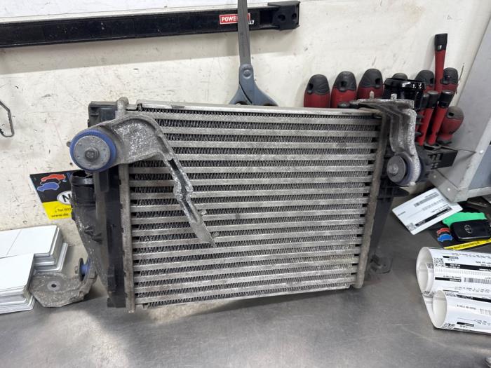 Gebruikte Intercooler Citroen Jumpy 2.0 Blue HDI 150 Prijs € 145,00 Margeregeling aangeboden door De Witte Boerderij AutoMotive