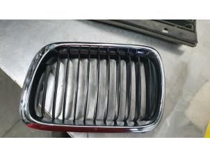 Gebruikte Grille BMW 3-Serie Prijs € 15,00 Margeregeling aangeboden door De Witte Boerderij AutoMotive