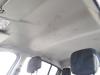 Dacia Sandero I (BS) 1.2 16V Hemelbekleding