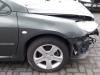 Peugeot 307 CC (3B) 1.6 16V Scherm rechts-voor