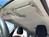 Ford EcoSport (JK8) 1.0 EcoBoost 12V 100 Hemelbekleding