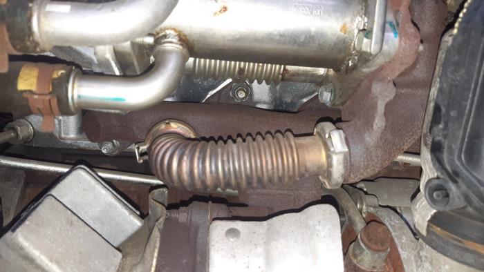 Gebruikte Uitlaatspruitstuk Renault Kangoo Be Bop (KW) 1.5 dCi 90 FAP Prijs op aanvraag aangeboden door Boekholt autodemontage B.V