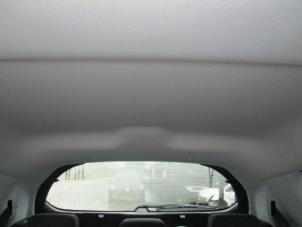 Gebruikte Hemelbekleding Peugeot 208 I (CA/CC/CK/CL) 1.2 Vti 12V PureTech 82 Prijs € 100,00 Margeregeling aangeboden door Boekholt autodemontage B.V
