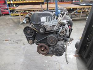 Gebruikte Motor Ford Focus 1 1.6 16V Prijs € 189,00 Margeregeling aangeboden door Boekholt autodemontage B.V