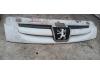 Peugeot Partner 1.6 HDI 75 Grille