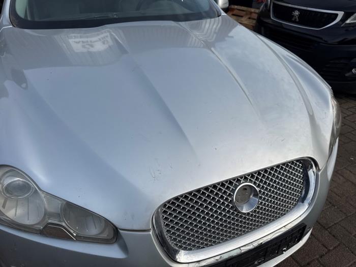Gebruikte Intercooler Jaguar XF (CC9) 2.7 D V6 24V Prijs op aanvraag aangeboden door Boekholt autodemontage B.V