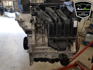 Gebruikte Motor Volkswagen Golf VII (AUA) 1.6 16V Prijs op aanvraag aangeboden door AutoHam