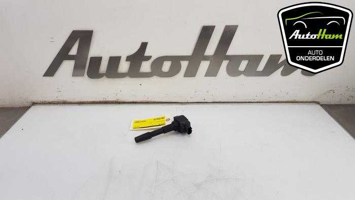 Gebruikte Pen Bobine Dacia Sandero III 0.9 TCE 12V Prijs € 10,00 Margeregeling aangeboden door AutoHam