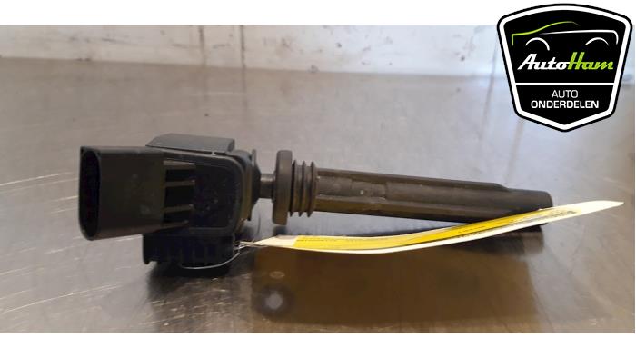 Pen Bobine van een Volkswagen Golf VII (AUA) 2.0 GTI 16V Clubsport 2015