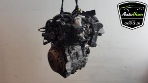 Gebruikte Motor Volkswagen Polo VI (AW1) 1.0 TSI 12V Prijs € 1.400,00 Margeregeling aangeboden door AutoHam