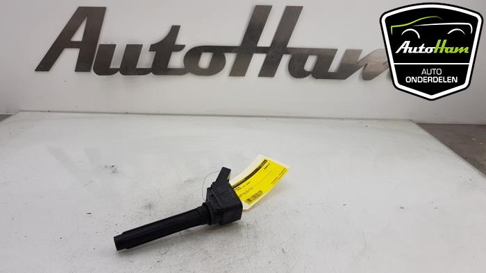 Gebruikte Pen Bobine Seat Leon (5FB) 2.0 TSI FR 16V Prijs € 10,00 Margeregeling aangeboden door AutoHam