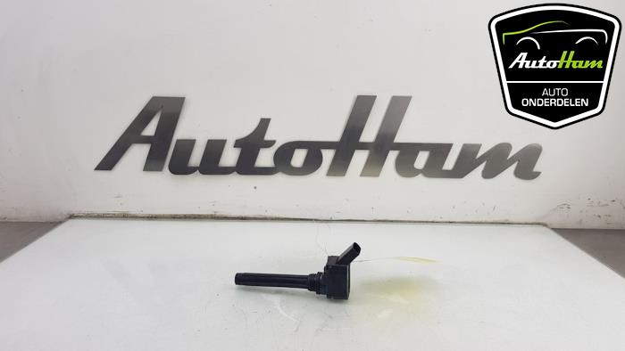Gebruikte Pen Bobine Seat Leon (5FB) 2.0 TSI FR 16V Prijs € 10,00 Margeregeling aangeboden door AutoHam