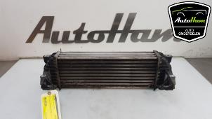 Gebruikte Intercooler Ford Transit Connect 1.8 TDCi 90 Prijs € 25,00 Margeregeling aangeboden door AutoHam