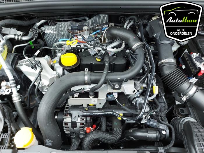 Leeds hout Hoge blootstelling Renault Clio Motoren voorraad | Onderdelenlijn.nl