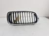 BMW 3 serie (F30) 330e Grille